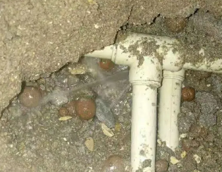 望都县卫生间测漏