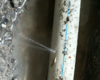 望都县卫生间测漏水多少钱