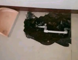 望都县卫生间测漏水多少钱